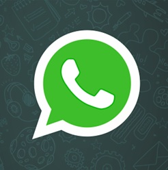 WhatsApp Logo