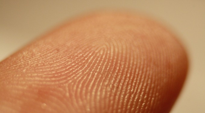 fingerprint